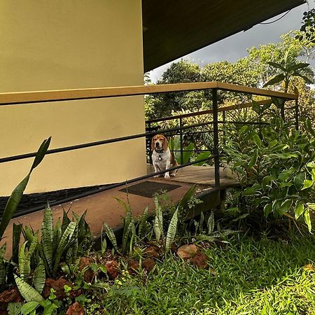 Modern Loft Inside A Beautiful Farm Apartment General Viejo Exterior photo