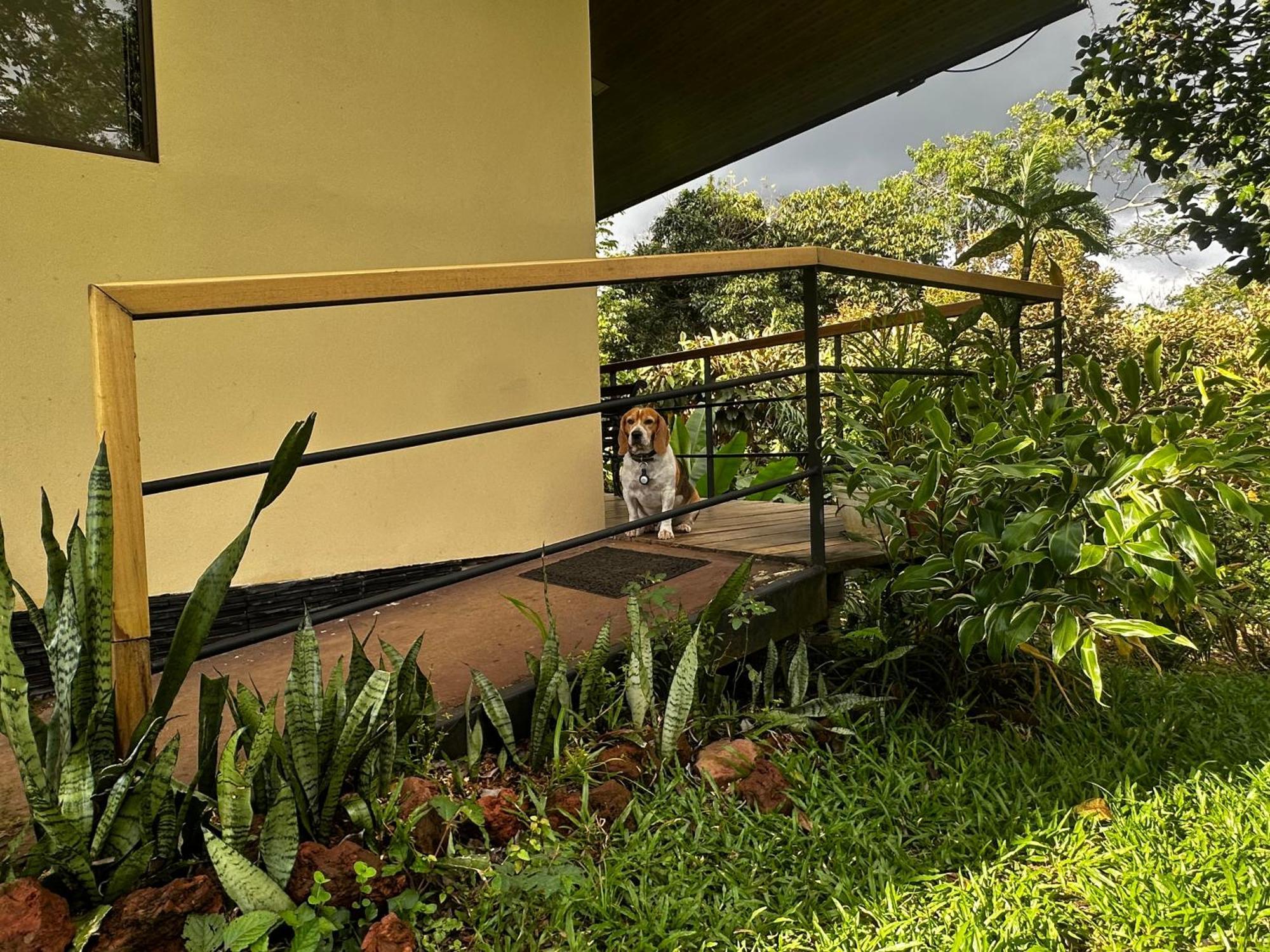 Modern Loft Inside A Beautiful Farm Apartment General Viejo Exterior photo