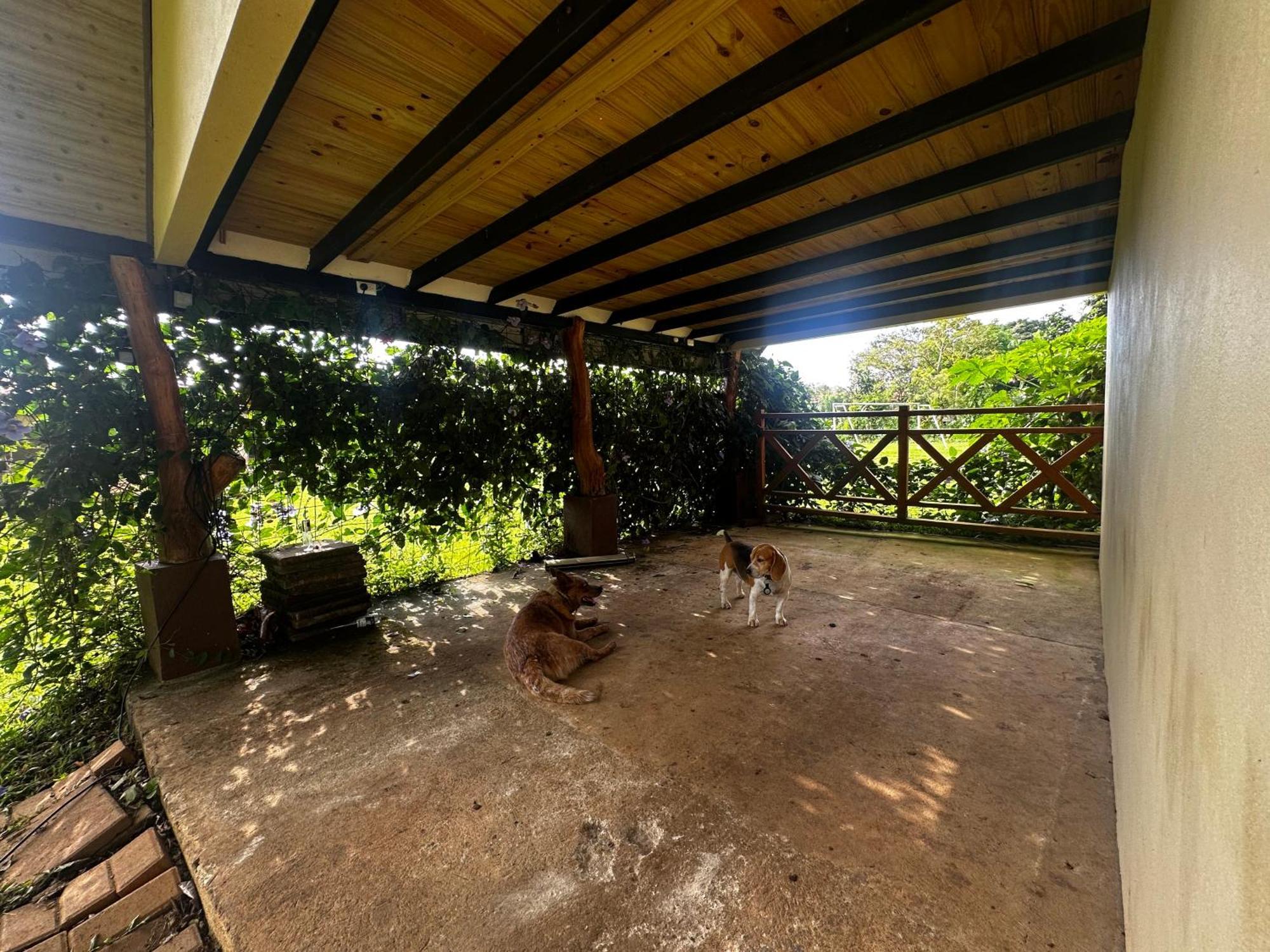 Modern Loft Inside A Beautiful Farm Apartment General Viejo Exterior photo